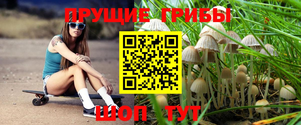 Галлюциногенные грибы MAGIC MUSHROOMS  купить наркоту  Зеленогорск  Вход с VPN 